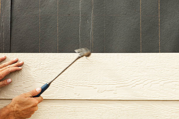 Best Brick Veneer Siding  in Hill N Dale, FL